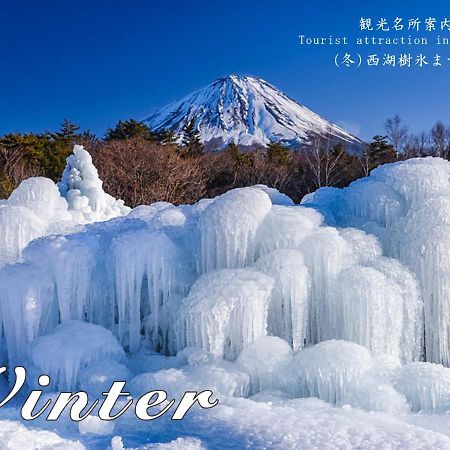 Station Villa Plaisir Mt. Fuji Fujikawaguchiko Εξωτερικό φωτογραφία