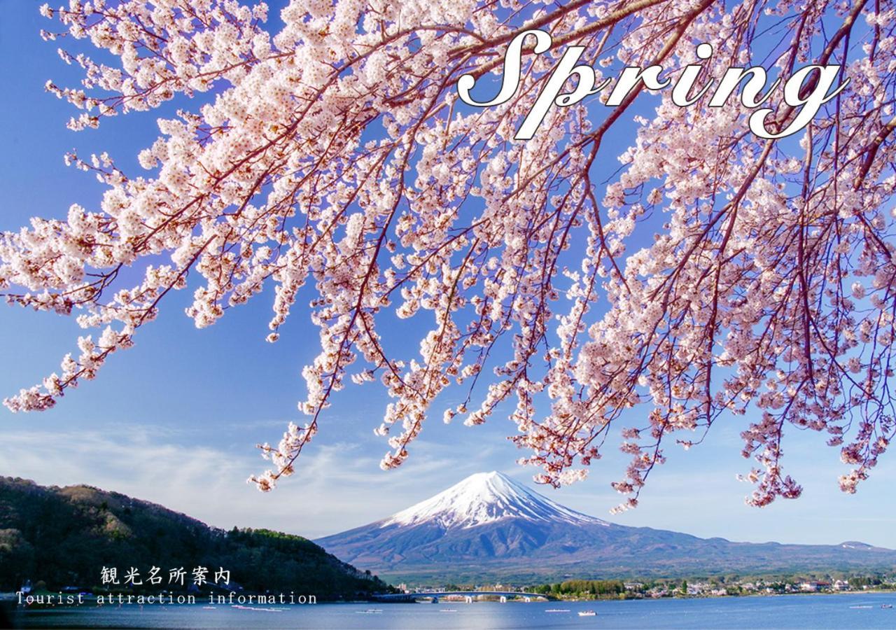 Station Villa Plaisir Mt. Fuji Fujikawaguchiko Εξωτερικό φωτογραφία